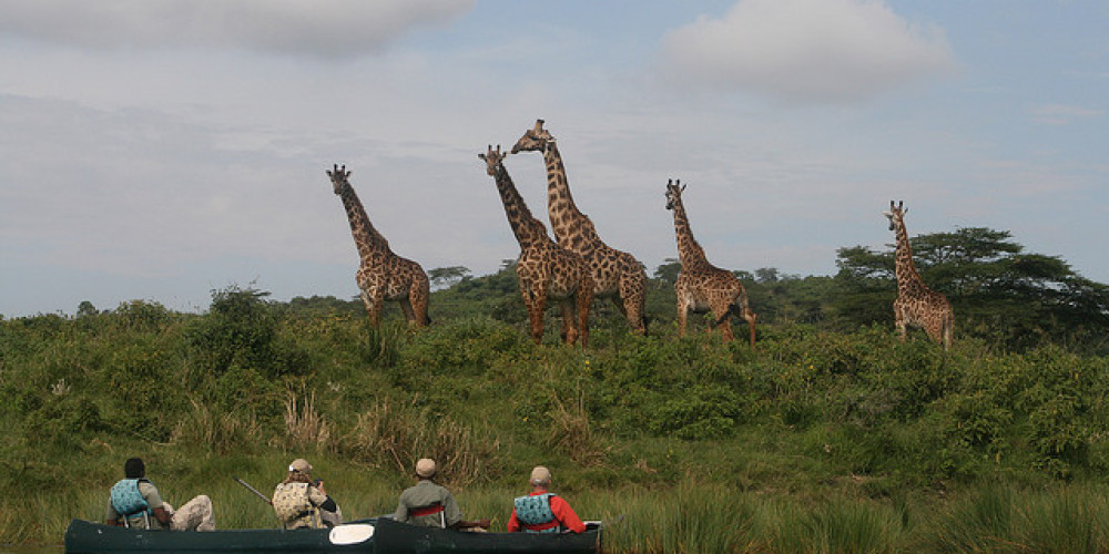 Tanzania Safaris