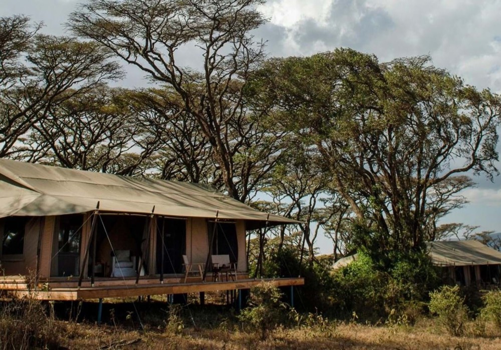 4 Day Tanzania Group Safari