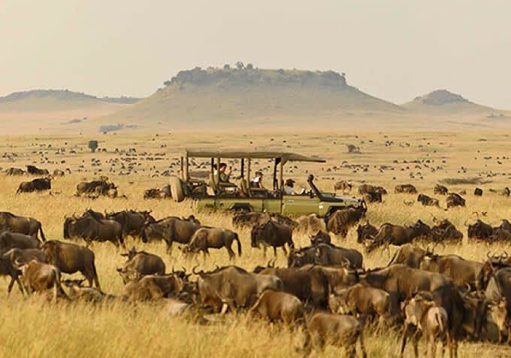 Serengeti National Park