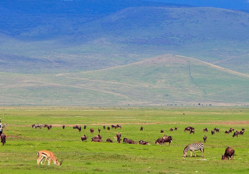 Ngorongoro Crater