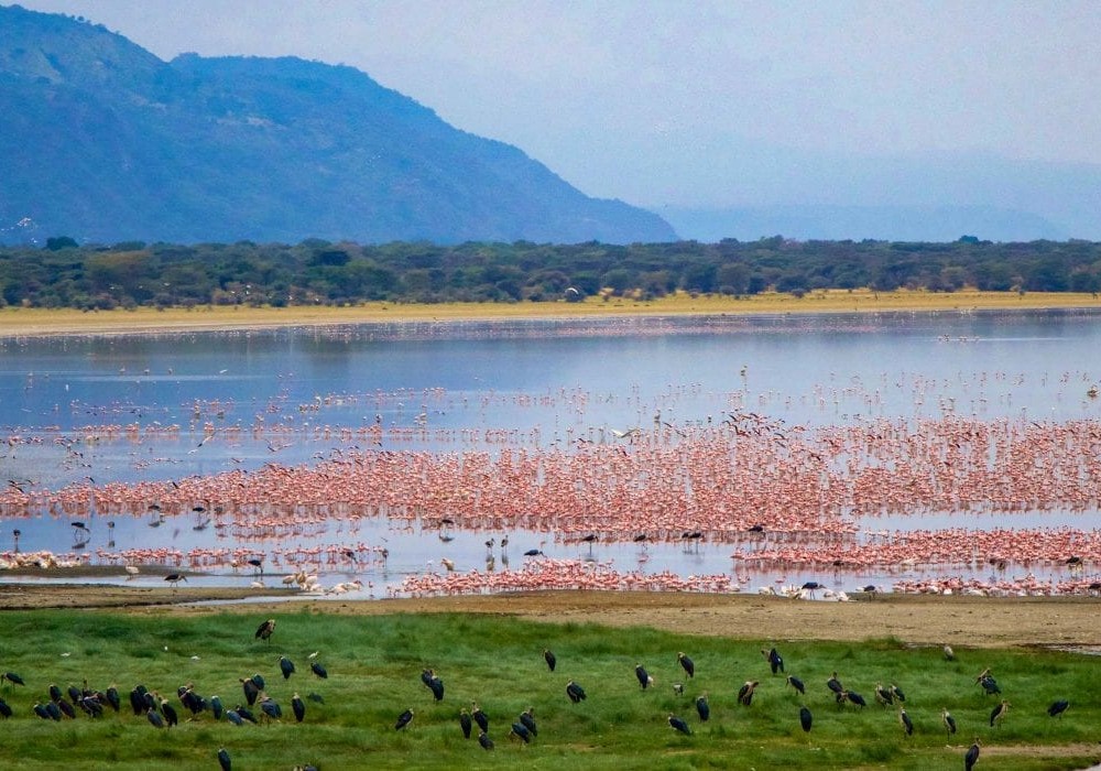 Lake Manyara National Park